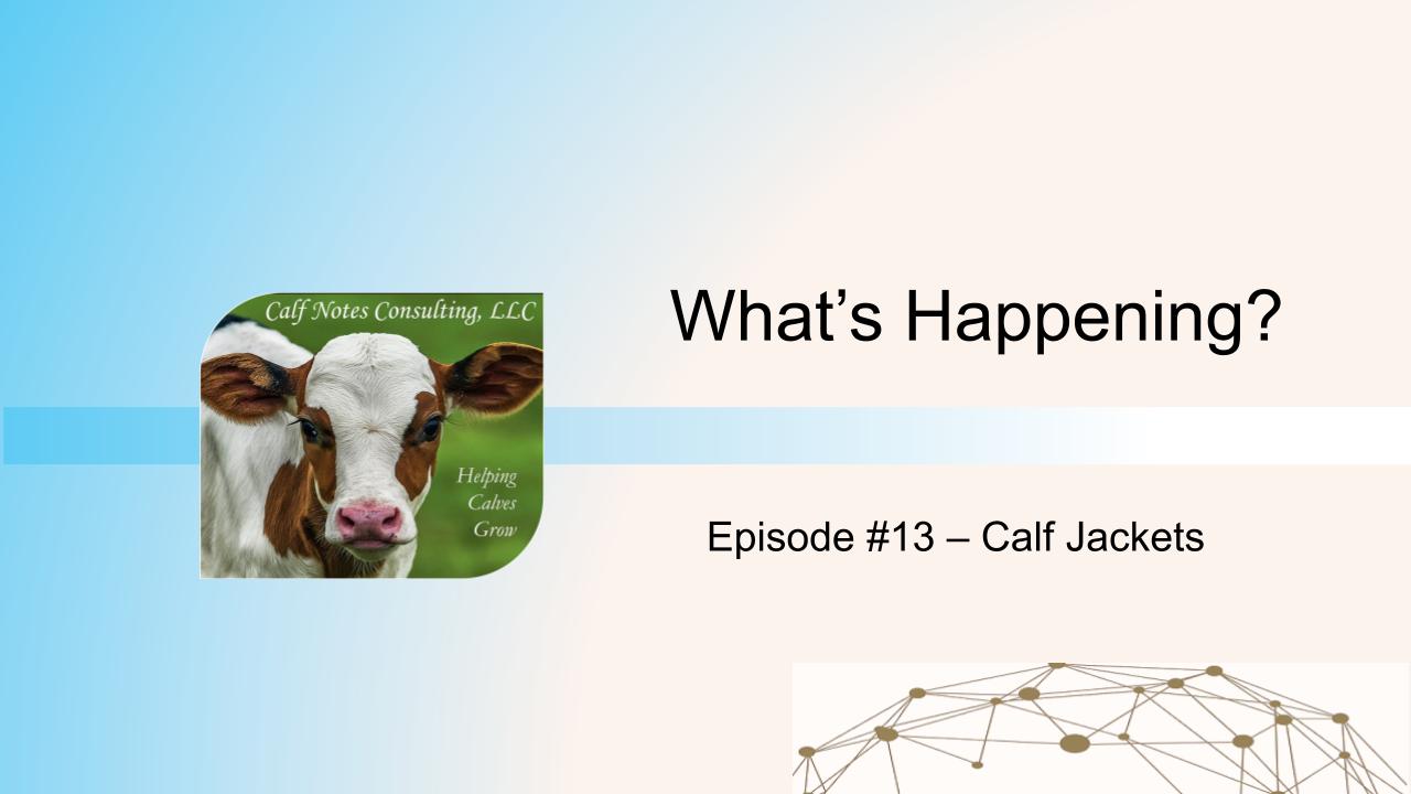 What’s Happening? Episode #13 – Calf Jackets