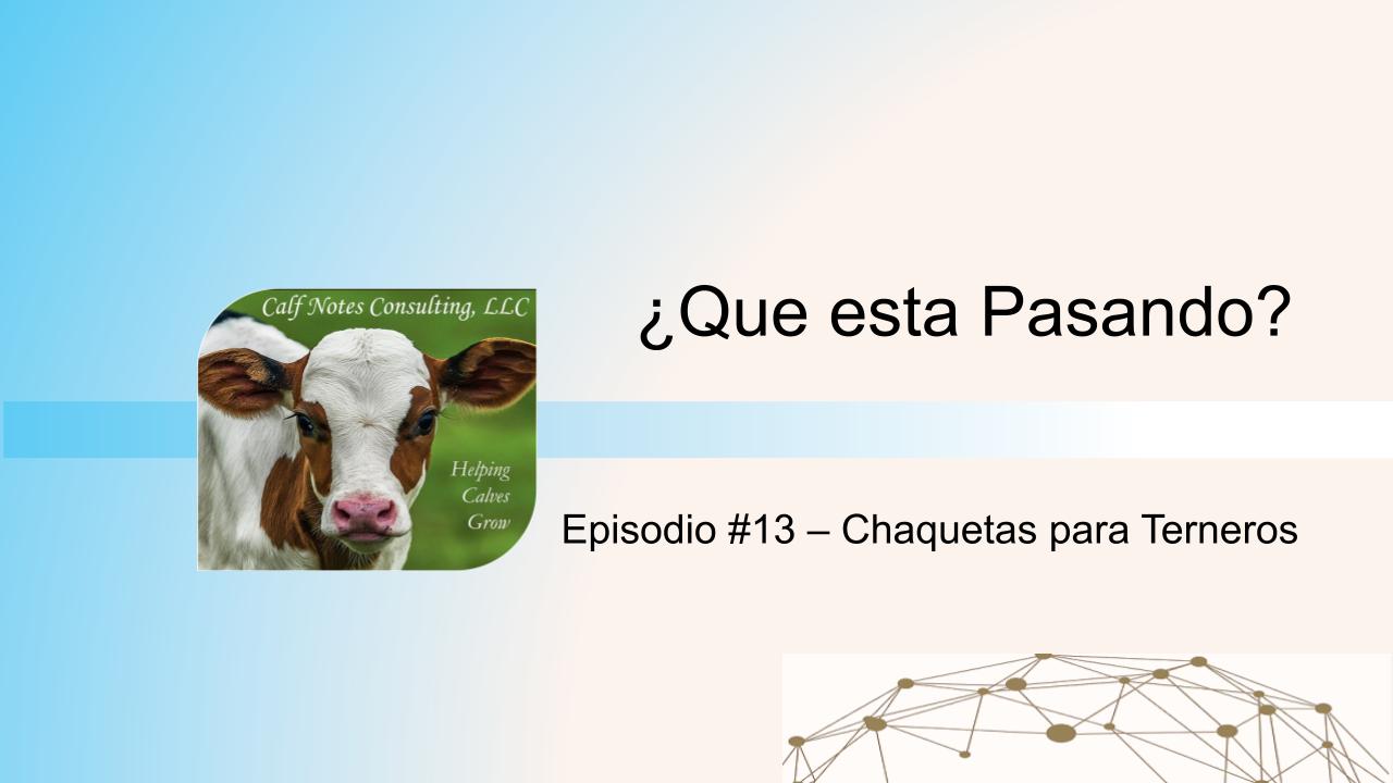 ¿Que esta Pasando? Episodio #13 – Chaquetas para Terneros